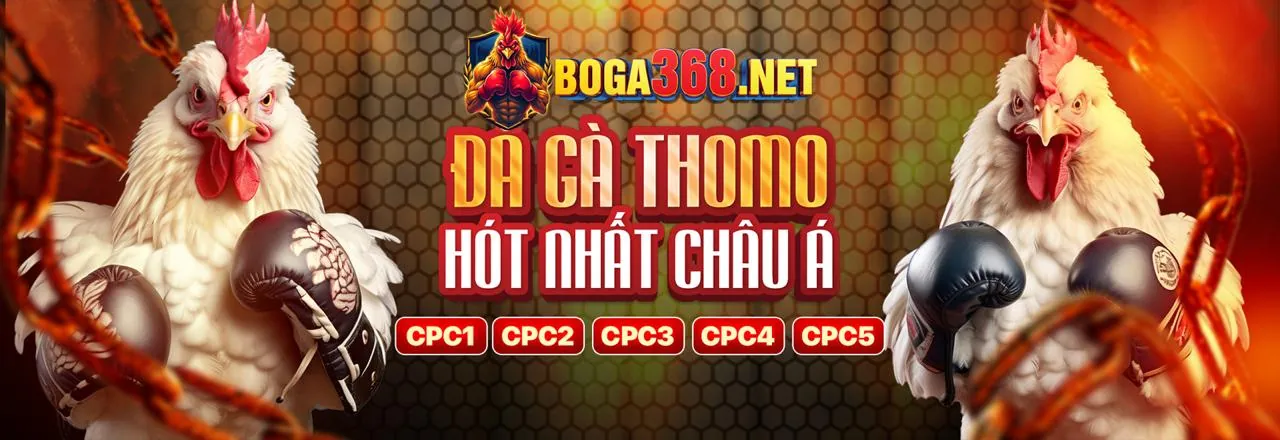 Nghiên cứu thể thao kuwin24